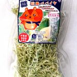 乾燥パパイヤ 通販 干し野菜 ドライ 国産 無添加 ネット注文購入