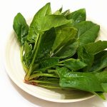 ほうれん草