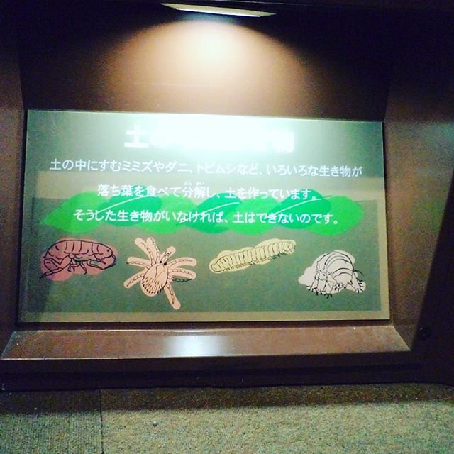 子供に教えてほしい畑の土作りは、名古屋市科学館のパ...