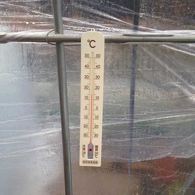今日は、朝から雨が降ってます！今週は、雨ばかりです...
