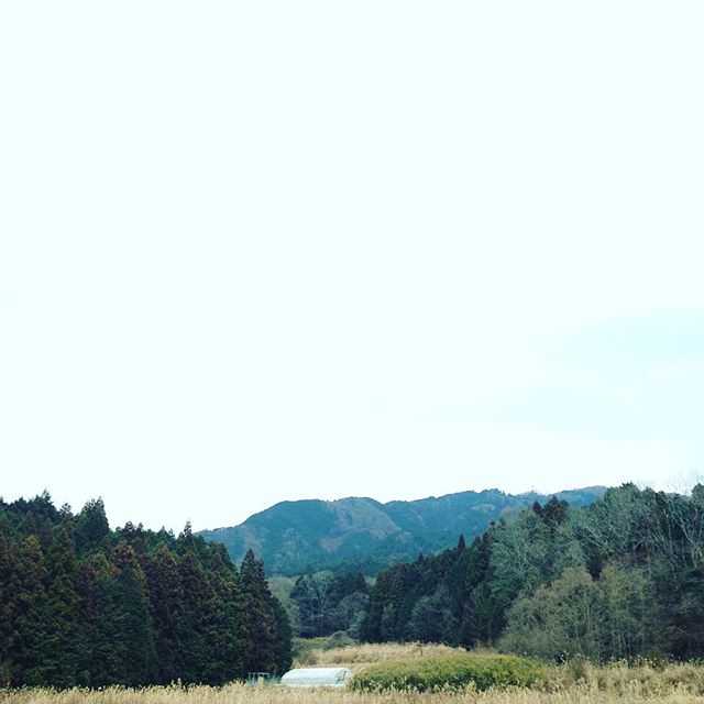 いつも完売ありがとうございます！強力な寒波がやってきていると連日ニュースで言ってますね〜なので、朝はガチガチに凍って収穫できないので、収穫出荷してます！今日から水菜、レタス、チンゲン菜、ダイコン、キャベツ、サンチュ、サツマイモなど出してます！見える山900メートル級からうちの畑までは、民家など一切ありません