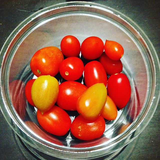 アイコと言う品種のトマトで、うちでは、夏に出荷してた種から土を作り栽培して、少しずつトマトコーナーに置いてます！栽培数が少ないので、見つけたらご賞味下さいね！今後、より甘いトマトの開発します！