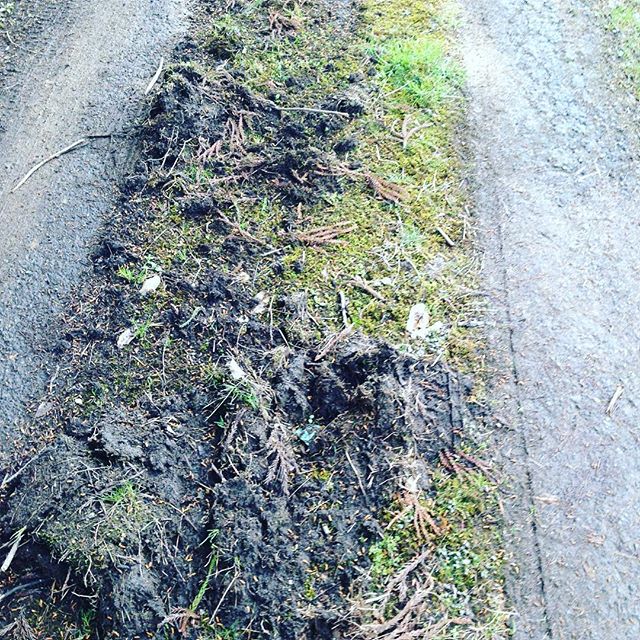 アスファルト道路の整備作業です！当然無料奉仕