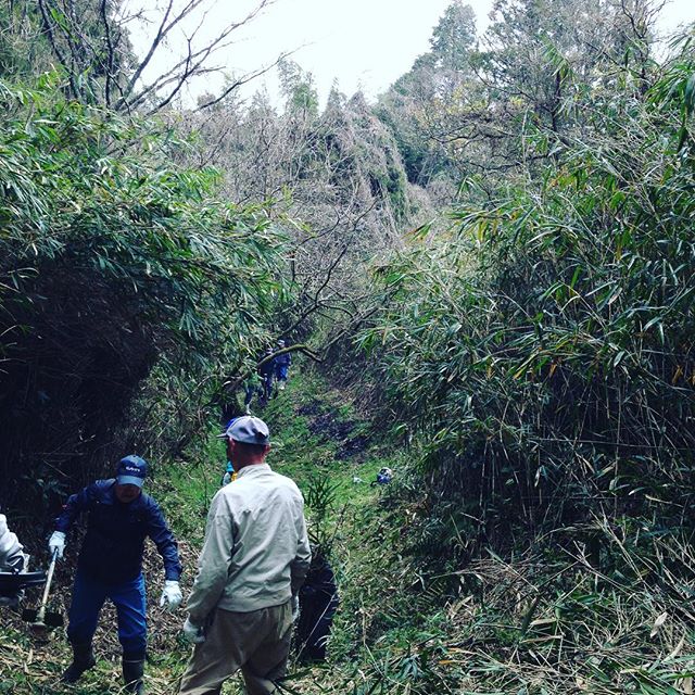 水路掃除