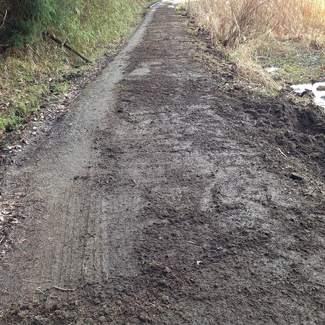 雨の後に少しずつやってたので道路整備終わりです！あとは乾燥したら掃き掃除ですかね〜道路に砂が溜まると、砂に草が生えるきて、アスファルトを割って水が溜まり割れて土砂災害になる訳ですね！超高齢化で管理する人が居なくなる時代ですから、やれ、桜が綺麗だからなど、缶ビールだの、弁当だの、と言って山に遊びに来て、ゴミを捨てると台風で、水路が詰まったりします。山は、歩きにくいだの木をどうに投げ捨てると掃除前の様に積もりチコちゃん叱られるかも？笑