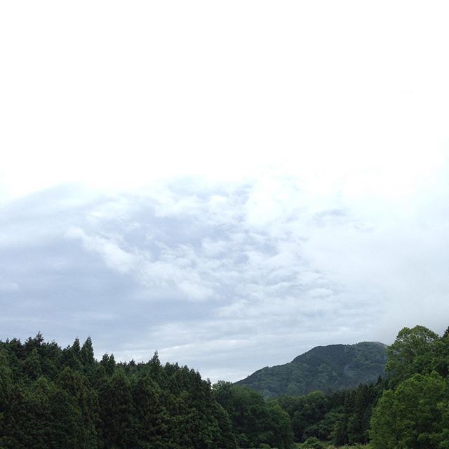 雨は、止んで気温15℃の朝です！土が水分をしっかり含んでますので収穫可能な場所のみになりますね