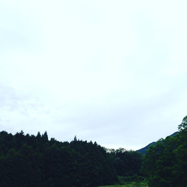 今日は、現在雨が降り出しました！