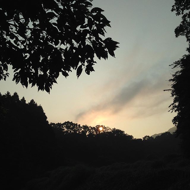 夏は暑いのは当たり前ですが、今日も太陽が昇ってきました！