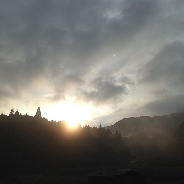 雨は止んで霧雨の中に太陽が昇ってきました！今日と明日はおたのしみイベントです。 試食などたくさんあり特売もたくさんありお買い得です！限定数の料理は、前回は、数分で売り切れになりました！今回も私も含めて複数の料理人がつくらますのて、25日は特にオススメです！収穫も増量で収穫してます。