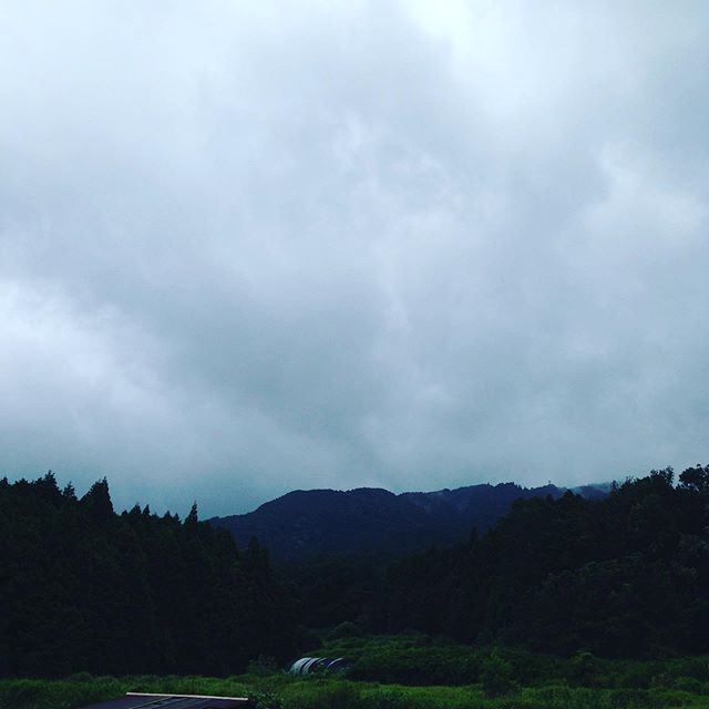 風や雨が激しく倒木など台風の影響が出てますが、収穫中です！