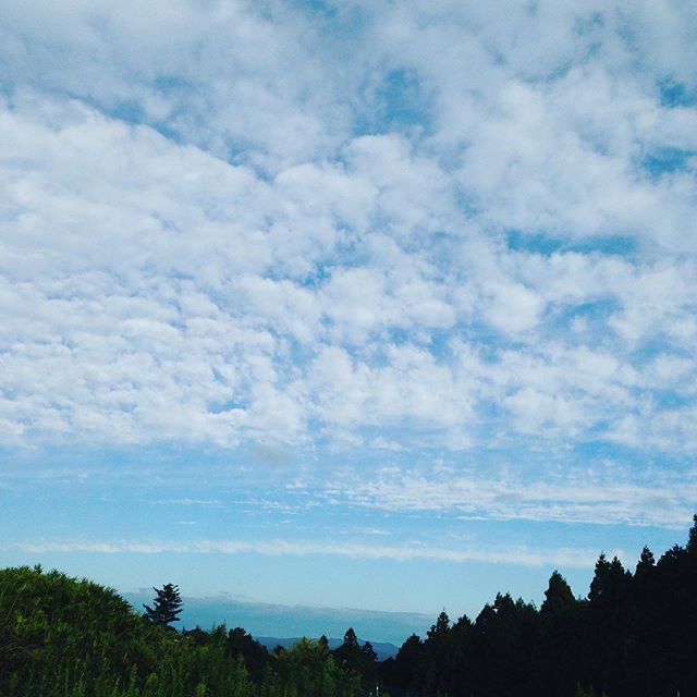 秋空で、暑さ寒さも彼岸までのことわざ通りになって来ました！秋茄子、夏の思い出のフルーツなどを収穫してます！