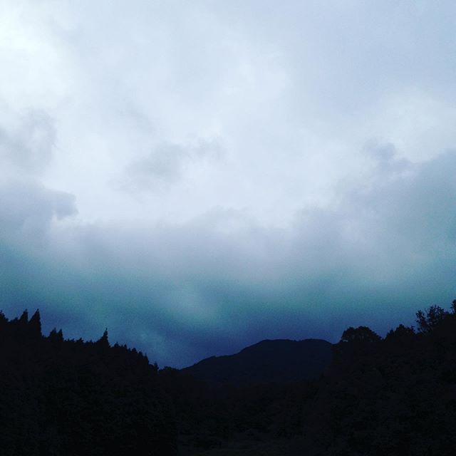 霧雨が多少あるものの曇りで、風は、東南方向で、涼しいです！夏野菜から秋に