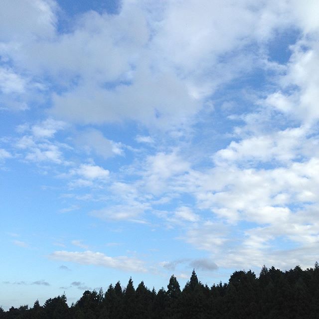 気温14℃と空気が、冷んやりしてます！今週は、11℃台まで下がりそうですが、台風が猛烈と予報ですので懸念してます。