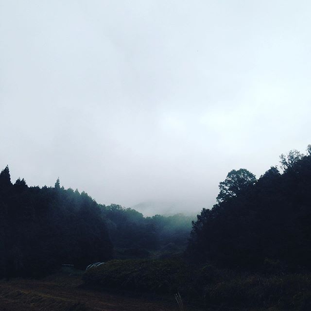 上空は、晴れてきました！畑は雲の中に入ってますね