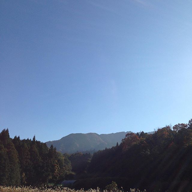 朝の気温は10℃現在14℃日中は20℃予報で快晴です！秋の青い空が印象で、紅葉が見頃です！