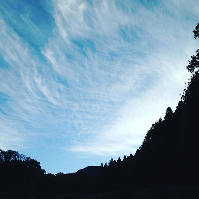 気温4℃で、初霜までわずかです。この時期から朝露があり高い位置の畑には太陽が地表をあたためるには、時間がかかります。