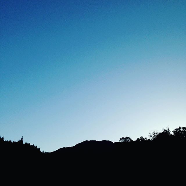 最低気温2℃まで下がり現在4℃となり更に寒くなりましたが、寒さは一旦底の予報です！紅葉は週末はベストかも？