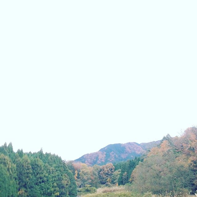 気温3℃の冬の朝です！日中は、今日は若干高くなる予報ですね