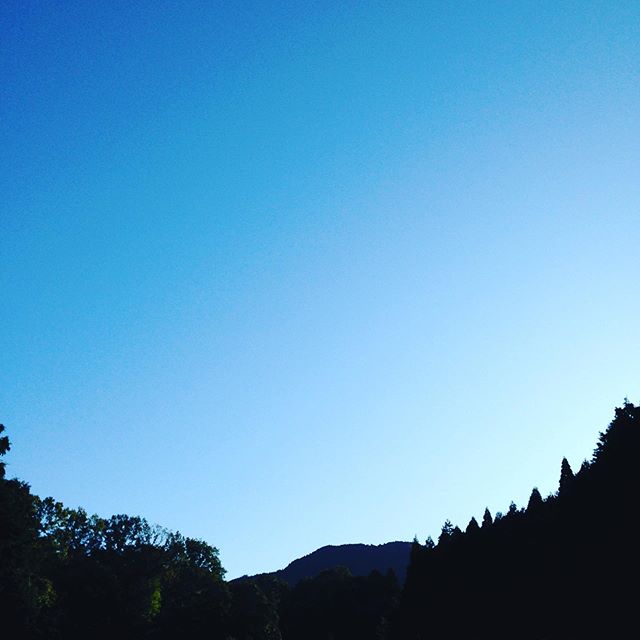 気温4℃霜が降りて冬スタートです！紅葉は今年は、一気にきて黒くなる感じかもしれないですかね