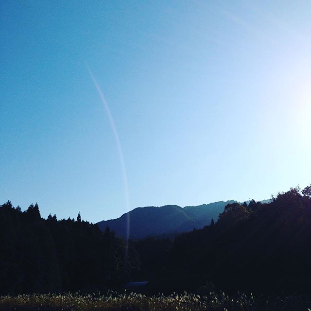 朝は2℃まで下がりました！昼は19℃の予報ですので耐寒差が激しいです！