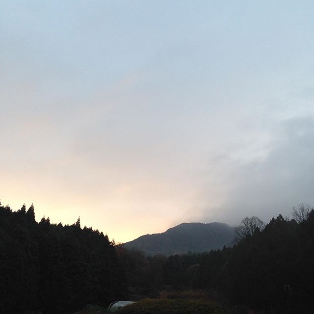 気温6℃曇りで昨夜は雪が混じりましたが、雪による影響はありません！