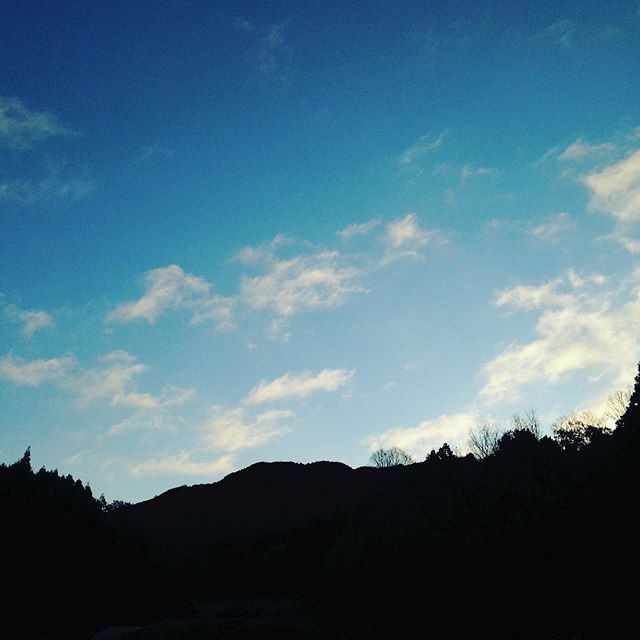 青空が見える気温3℃の風もない朝一です！朝5時台に弱い雨がありましたが特に影響はありませんので収穫してます！