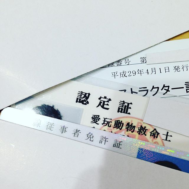 今からうちのワン子に手伝ってもらい山や畑の整備を午前中します