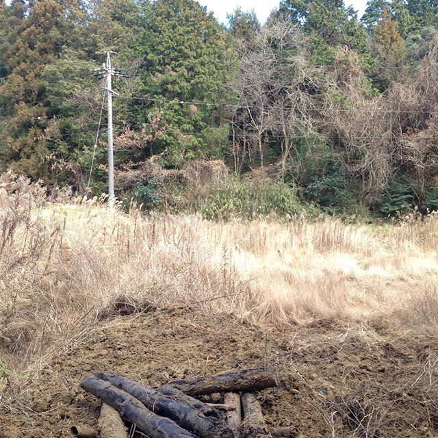 いつもの畑と別の畑で、毎年台風の被害を軽減する実証実験で、畦道を作ってます！