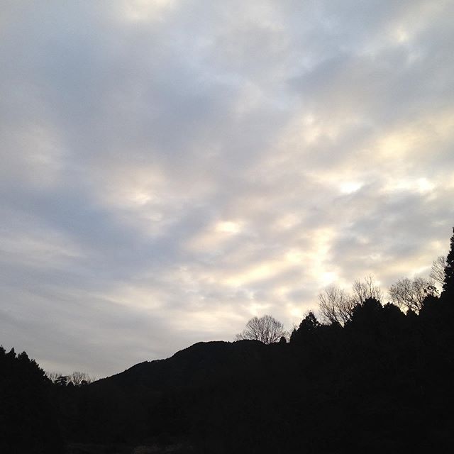 気温3℃曇り風は微風で、午後からは雨の予報です。
