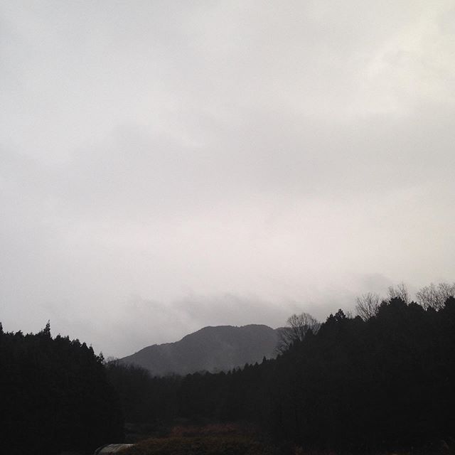 気温9℃激しい雨です。午後から強い風の予報！