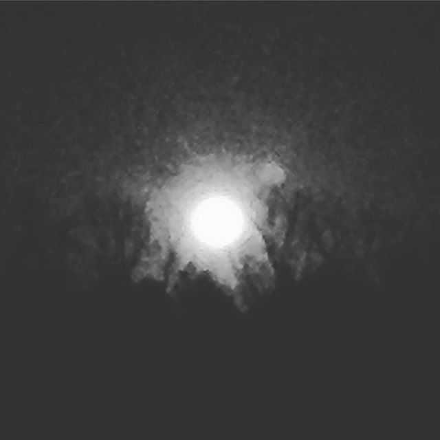 月が出てますので明日の朝霜？
