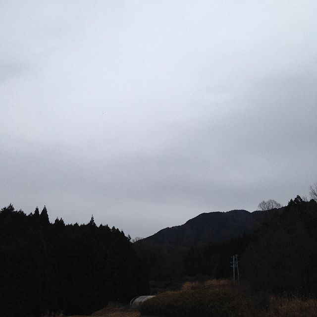 気温6℃東のバラバラと雨が降ってます。風は東から吹いてる感じで今のところ微風です！