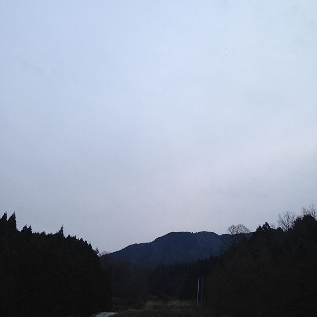 気温1℃曇り空でどんより模様で風は無し畑は、霜が降りて白くなってます！