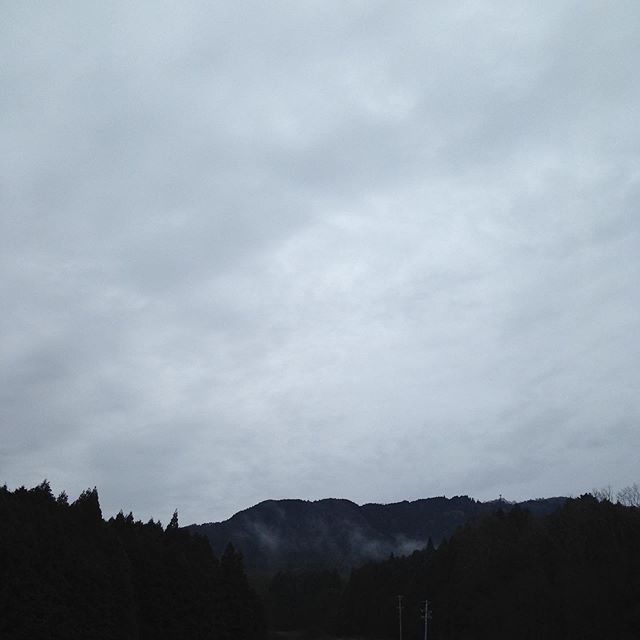 気温4℃曇り風は今のところありません昨夜は雨が降り畑は濡れてます！
