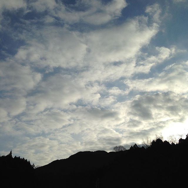 気温1℃晴れ風は吹いてない冬らしい朝はで、霜が降りてます！