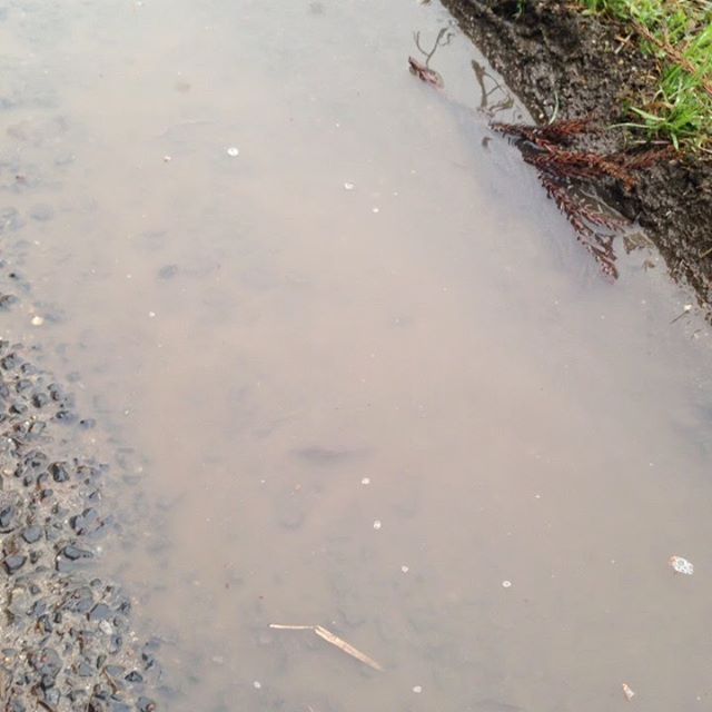 気温9℃風は無く雨が降ってます！この雨は止む予報の様です！マイナスから一気に春になると一気に虫が出てきそうです！過去100年のデータと暖冬時の害虫被害を調べると一致する被害があり注意と防虫ネットの張り方に工夫が必要と思案中です！