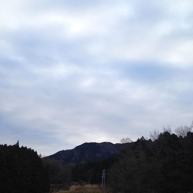 気温1℃どんより曇りで畑は薄っすら霜が降りてます！風は無く今のところ雨は降ってませんが予報は雨マークついてました。