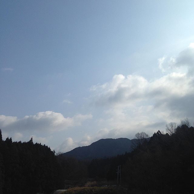 気温7℃風は北西の風で朝は、1℃でした！まだ少し雪は残ってますが、明日には溶ける感じです。