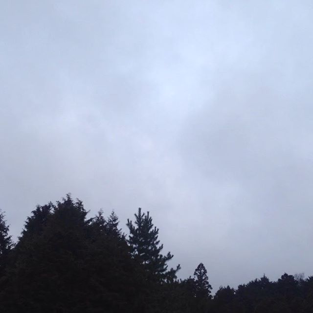 気温3℃北西の風で木々は時より揺れてます！6時からみぞれ交じりの雨で畑は濡れてます！