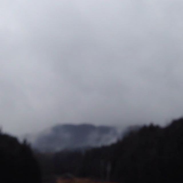 気温12℃西からの微風で朝方は本降りの雨で現在は少し弱くなってるタイミングで畑の入れる場所で収穫してます！