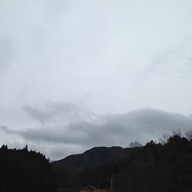 気温7℃西の風が草をゆらして曇り空です！畑は乾いて収穫しやすいです。午後から雨の予報で降ってきたらハウスの中の作業