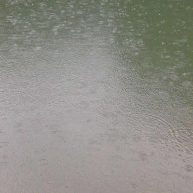 気温5℃風は無く雨が降ってます。畑は濡れます！今日は早めに収穫したので通常通り出荷します！