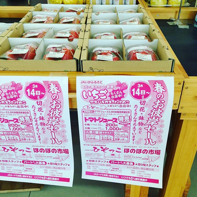 明日からお彼岸