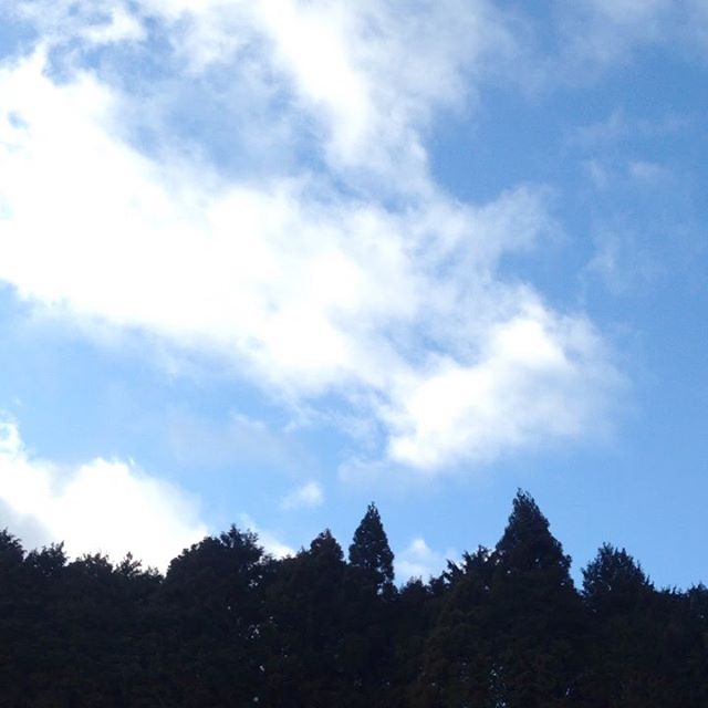 気温9℃西の風が木々を揺らしてます。畑は前日の雨で濡れます。