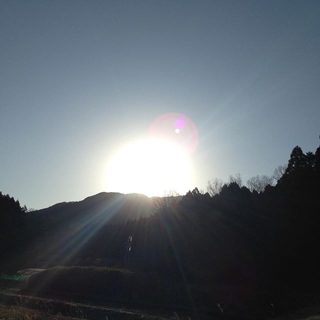気温−2℃→1℃へ風無しで晴れてます。畑はガチガチになってます！対策してあったので収穫可能で通常出荷します。