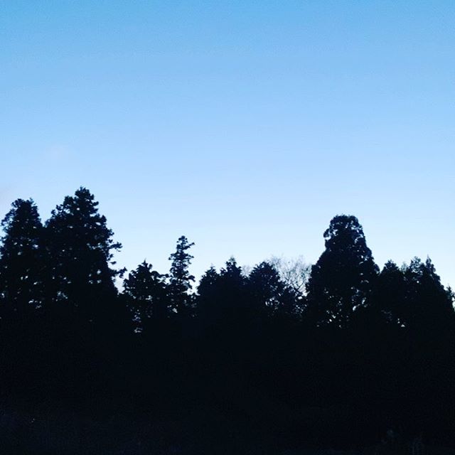 すっかり暗くなりましたので今日の作業終わりです。さすがにナイター作業はまだ早い感じです！真夏はナイターコメント頂いた方ありがとうございます。イイねマークしました！ちゃんと手洗いしないと土まみれ