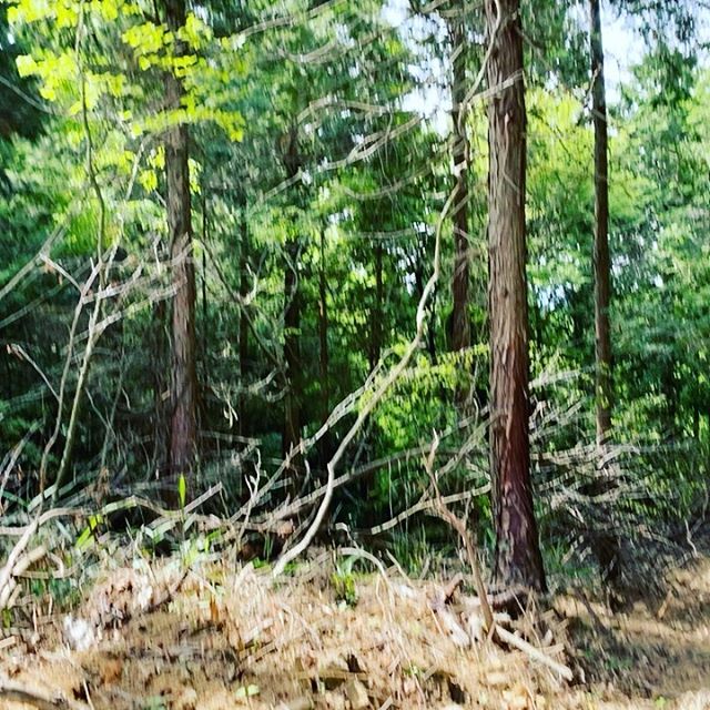 夏です！暑い