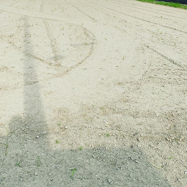 夏から秋に開始の畑あれこれです。準備中