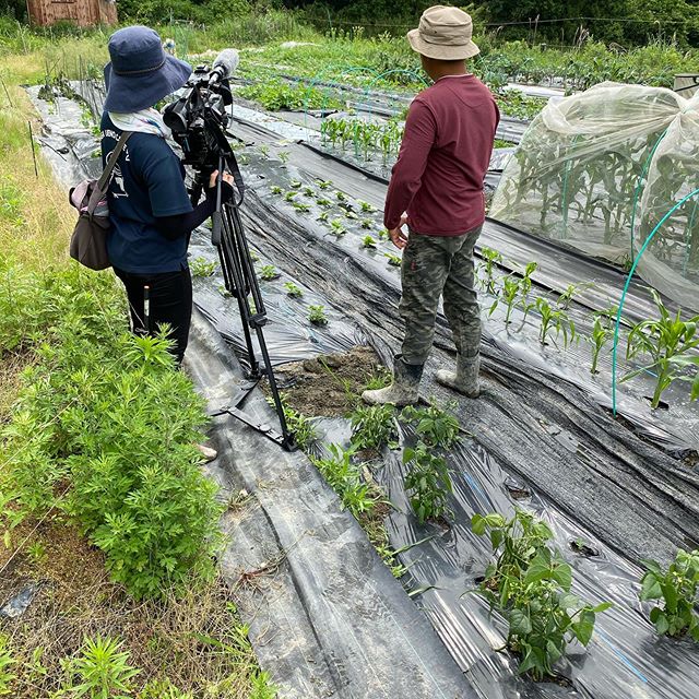 TV取材中　終わったらまた作業続く