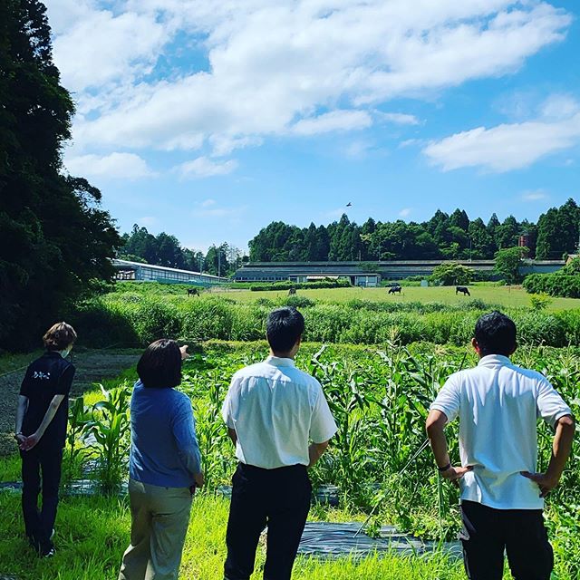 見学と取材を受けてます。